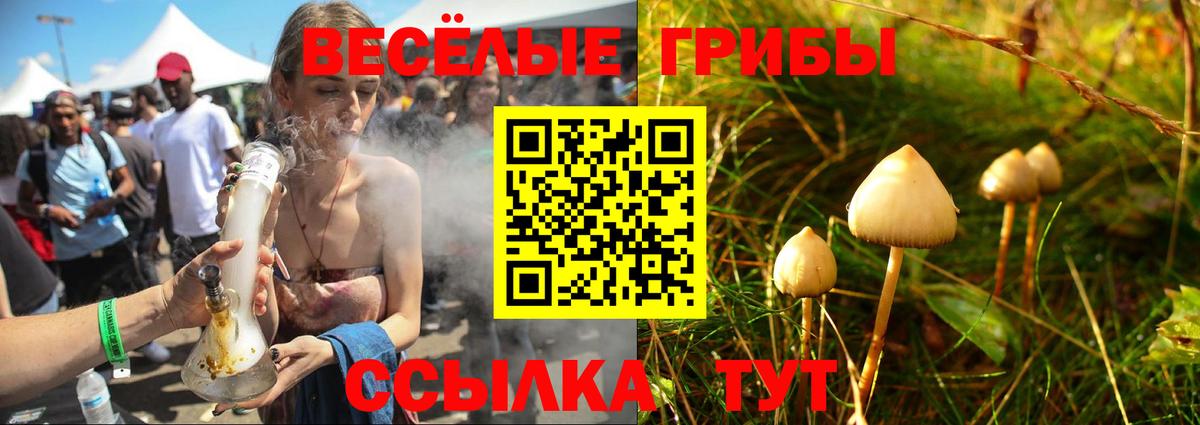 Псилоцибиновые грибы Psilocybine cubensis  Вход с VPN  Псилоцибиновые грибы ЛСД  Сергиев Посад 